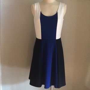 The Limited stretchy sleeveless color block dress